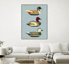 Decoy Ducks I by June Erica Vess on GIANT ART - animals nature birds