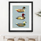 Decoy Ducks I by June Erica Vess on GIANT ART - animals nature birds