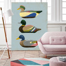 Decoy Ducks II by June Erica Vess on GIANT ART - animals nature birds