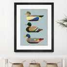 Decoy Ducks II by June Erica Vess on GIANT ART - animals nature birds