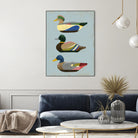 Decoy Ducks II by June Erica Vess on GIANT ART - animals nature birds