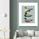 Decoy Ducks II by June Erica Vess on GIANT ART - animals nature birds