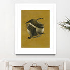 Copilots I by Grace Popp on GIANT ART - animals nature birds