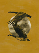 Copilots II by Grace Popp on GIANT ART - animals nature birds