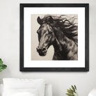 Western Plains Portrait II by Walker Noble on GIANT ART - animals nature horses