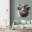 Western Plains Portrait I by Walker Noble on GIANT ART - animals nature horses