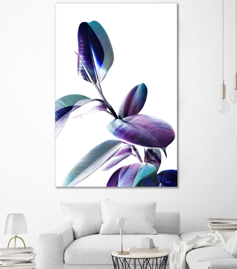 Minimal Rubber foliage in Blue and Purple on White by Dominique Vari on GIANT ART