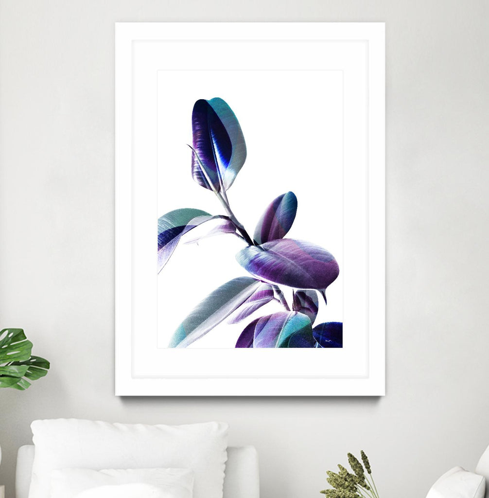 Minimal Rubber foliage in Blue and Purple on White by Dominique Vari on GIANT ART