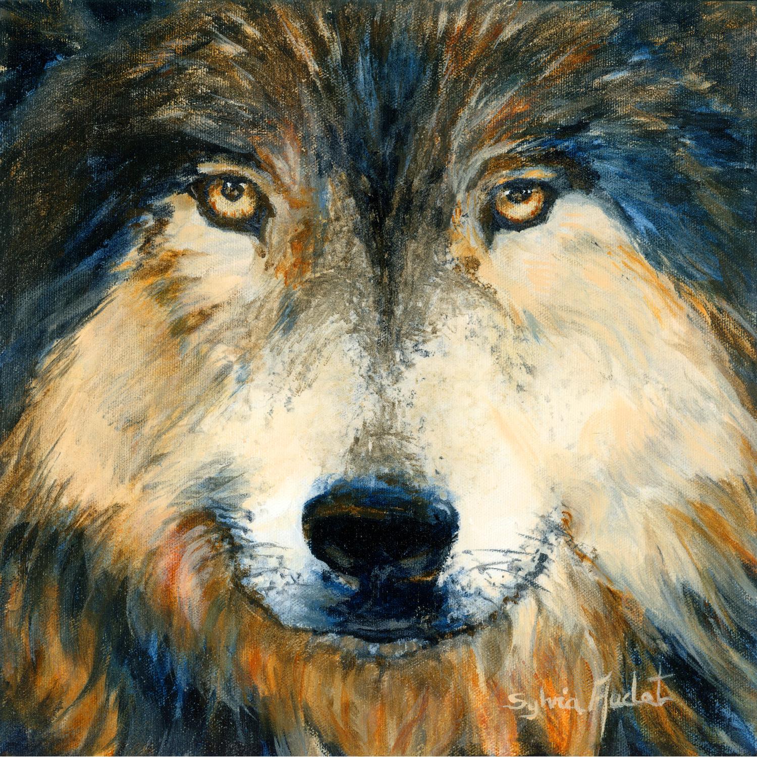 Regard inquiet du loup de Sylvia Audet sur GIANT ART - animaux blancs