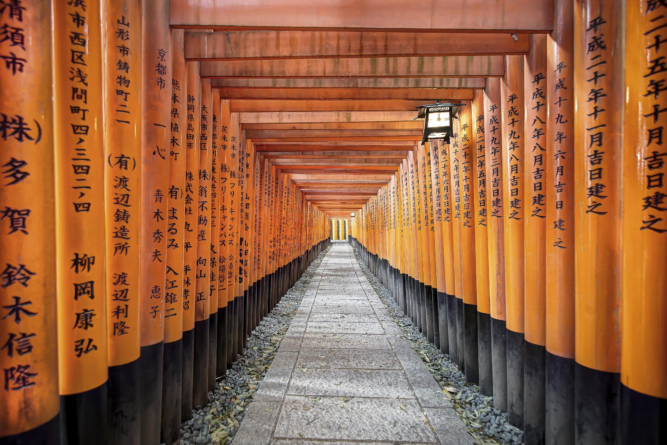 Fushimi Inari Shrine, Kyoto par Nick Jackson sur GIANT ART - art photo orange