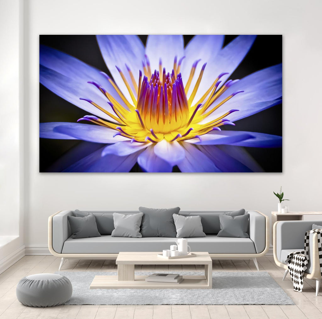 Kew Gardens Waterlily by Nick Jackson on GIANT ART - yellow floral