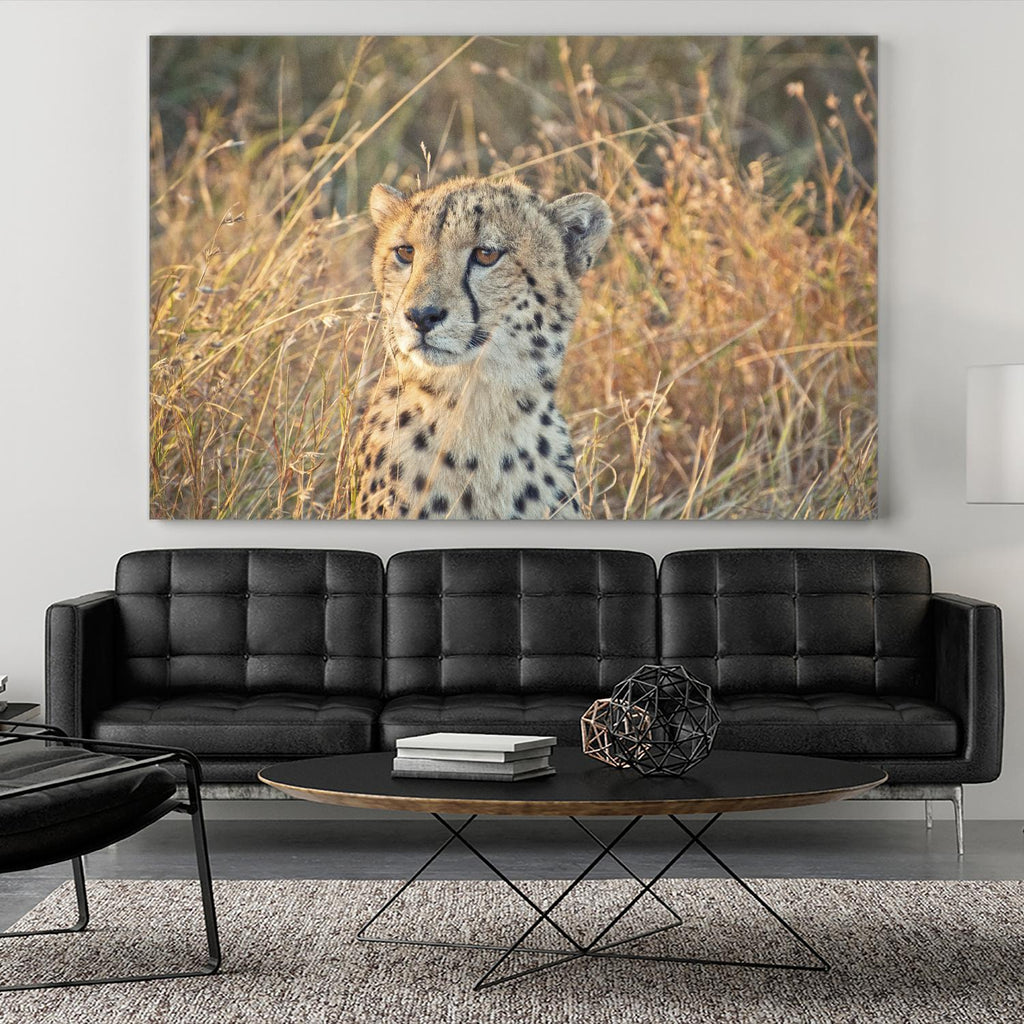 Watching her cubs by Nick Jackson on GIANT ART - black animals