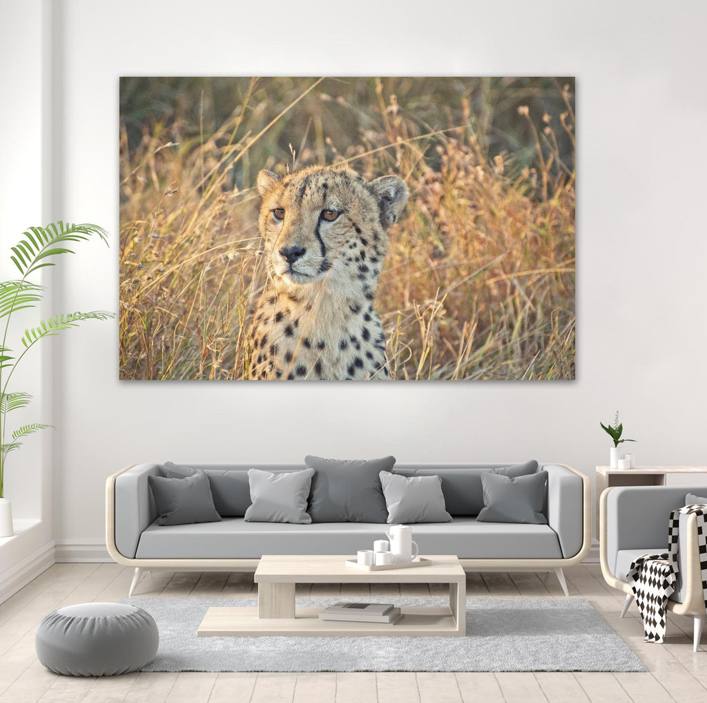 Watching her cubs by Nick Jackson on GIANT ART - black animals