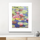 Passion in Pink by Ron Simpkins on GIANT ART - pink flowers nénuphars