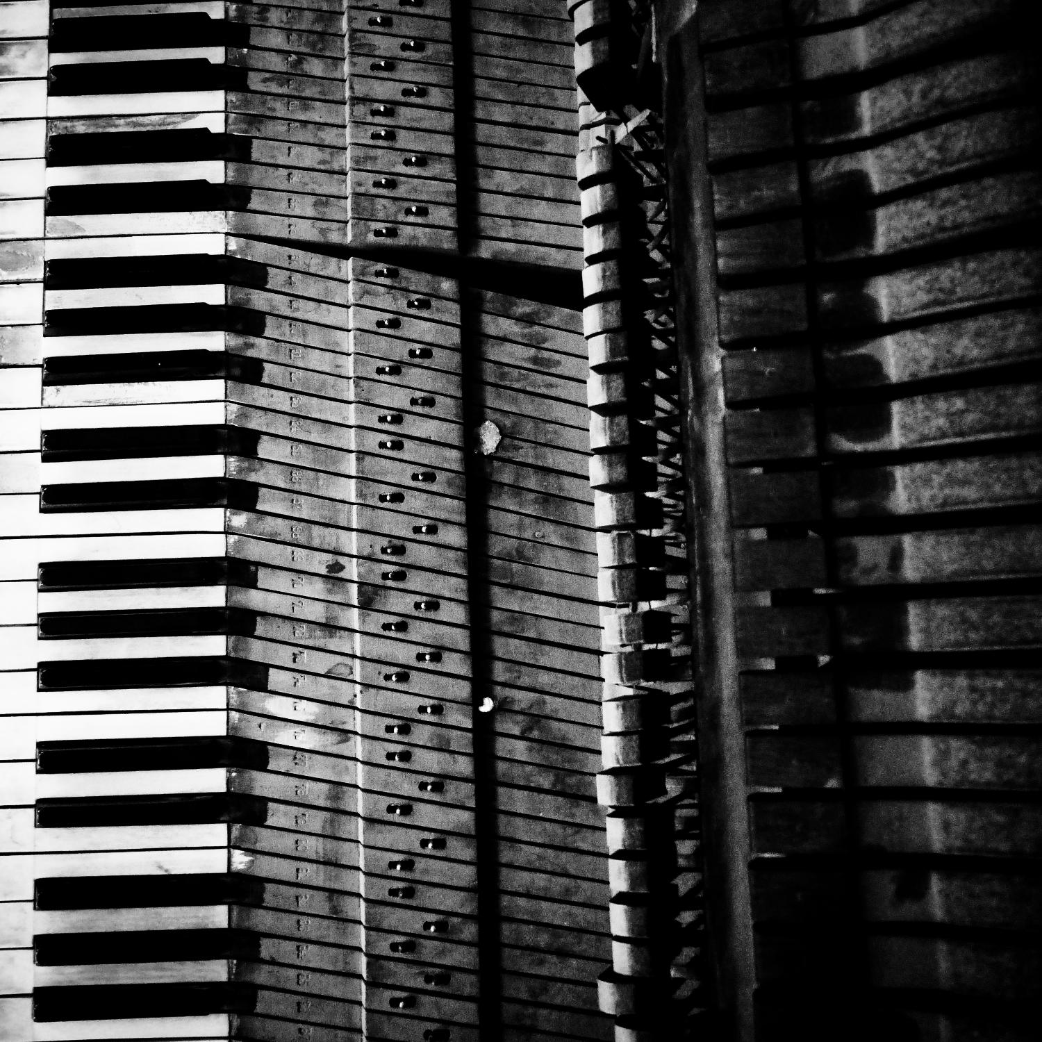 Piano VIII by Jean-François Dupuis on GIANT ART - white black & white piano key