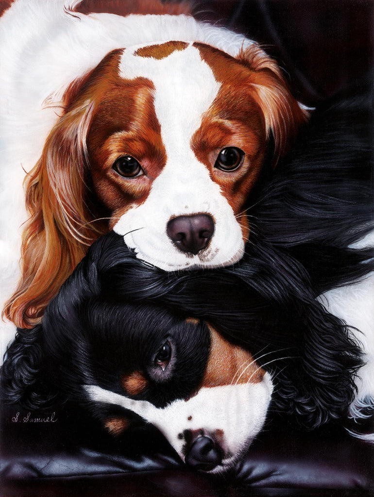 Best Friends par Suzie Samuel sur GIANT ART - animaux noirs