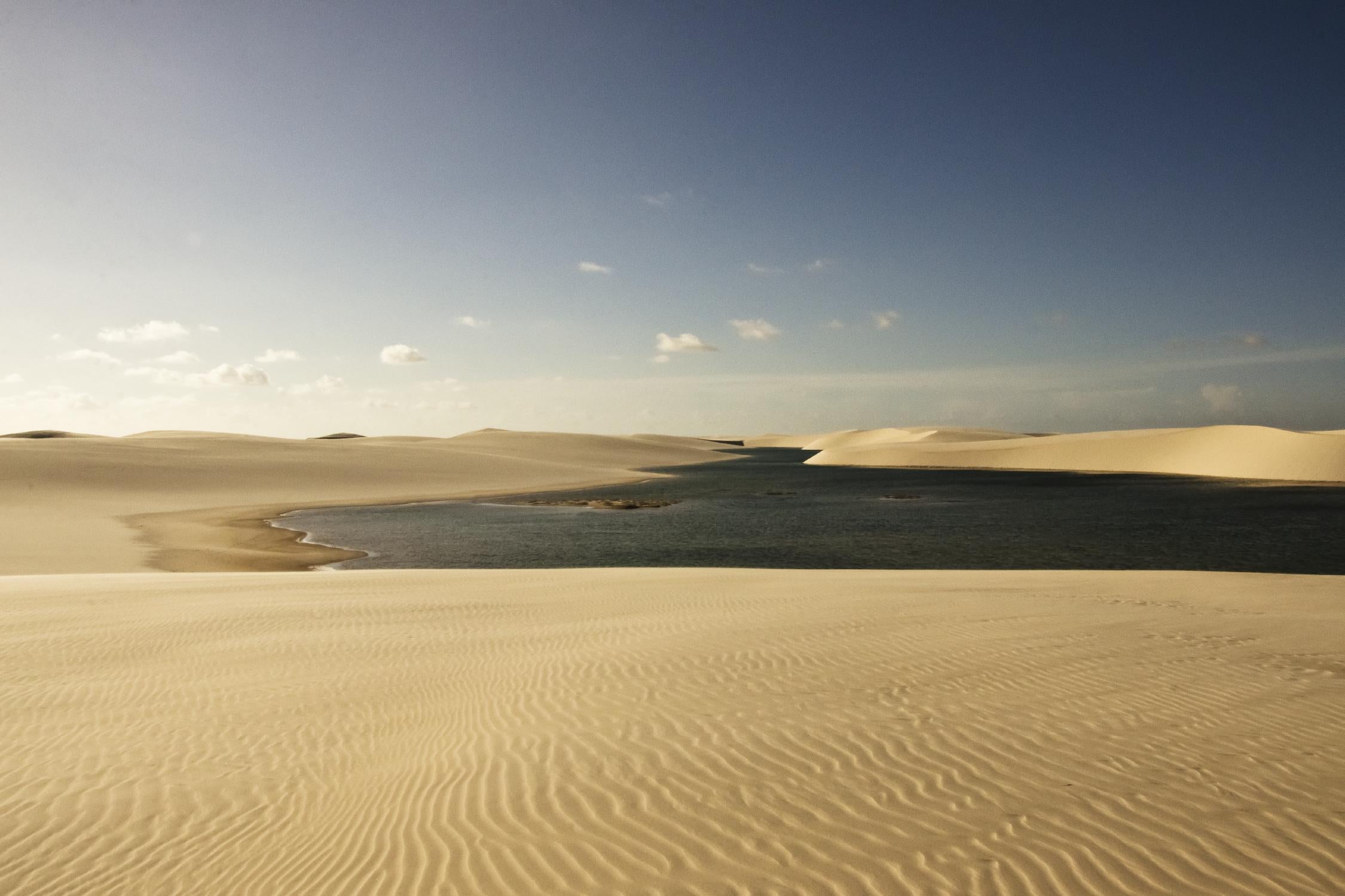 Dunes par Daniel Stanford sur GIANT ART - paysage beige