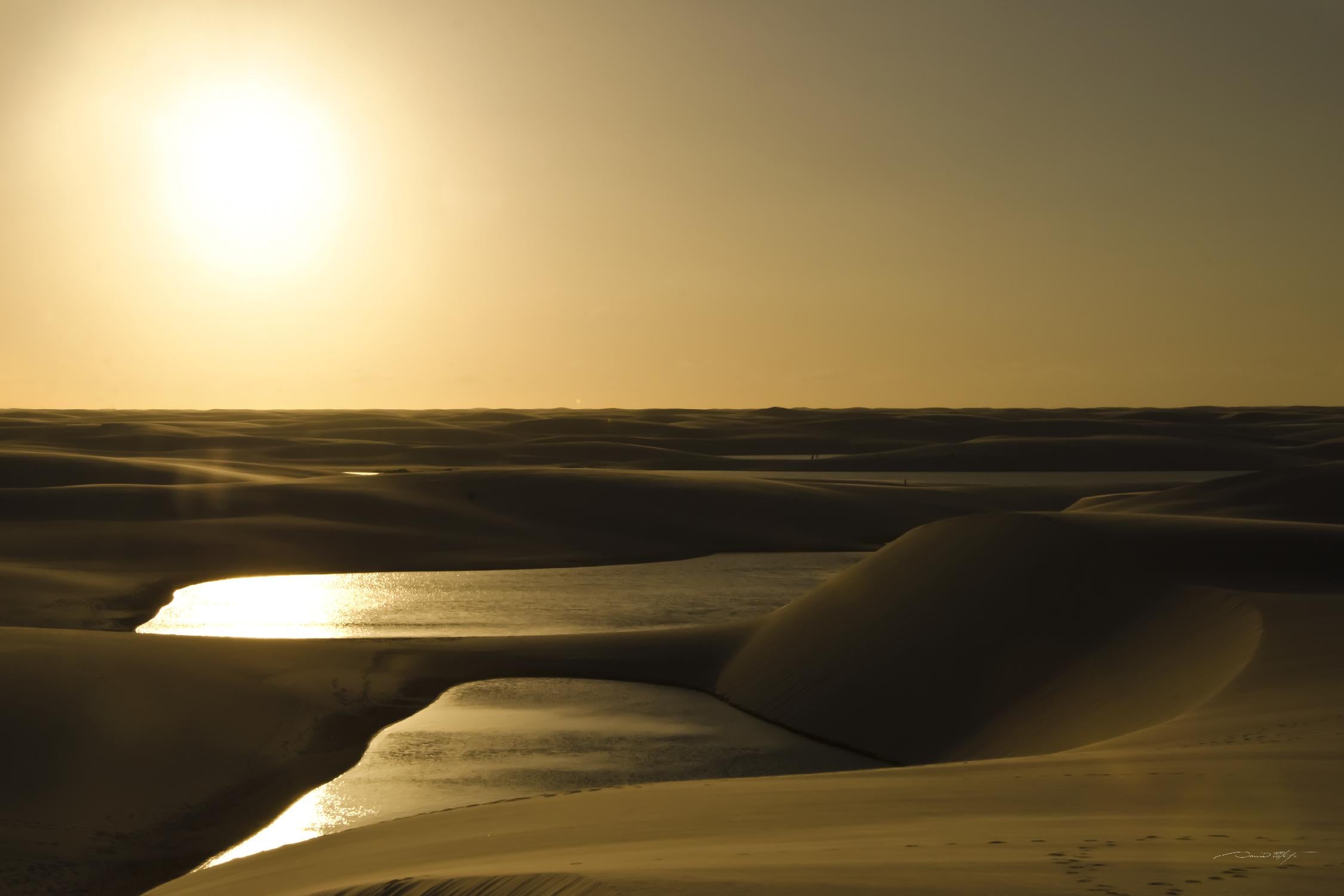 Coucher de soleil doré par Daniel Stanford sur GIANT ART - paysage brun