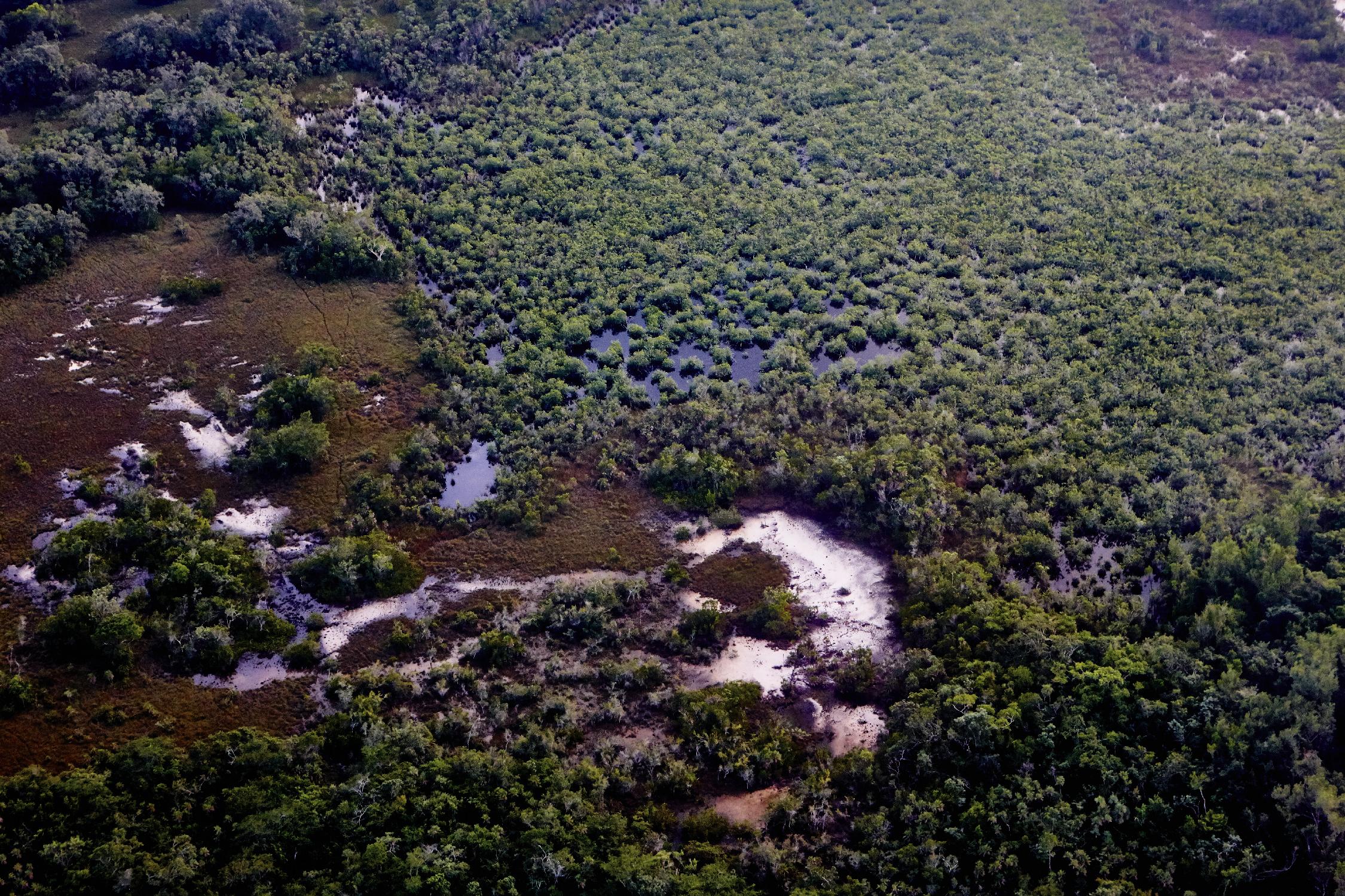 Landscape by Peter Morneau on GIANT ART - green photo art