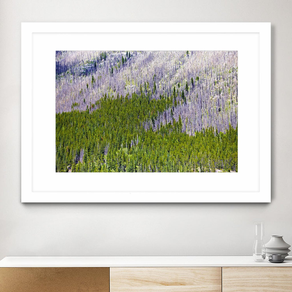 Landscape IV by Peter Morneau on GIANT ART - purple photo art