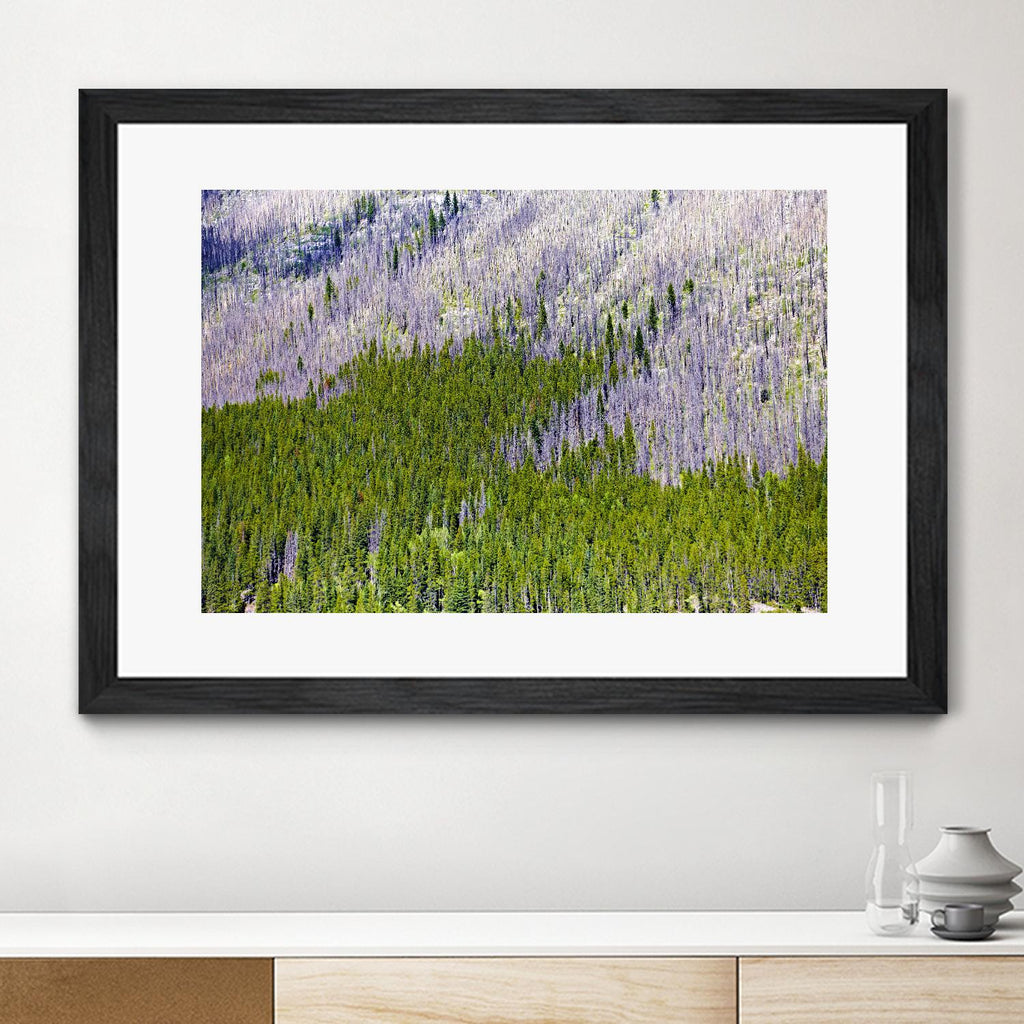 Landscape IV de Peter Morneau sur GIANT ART - photo d'art mauve