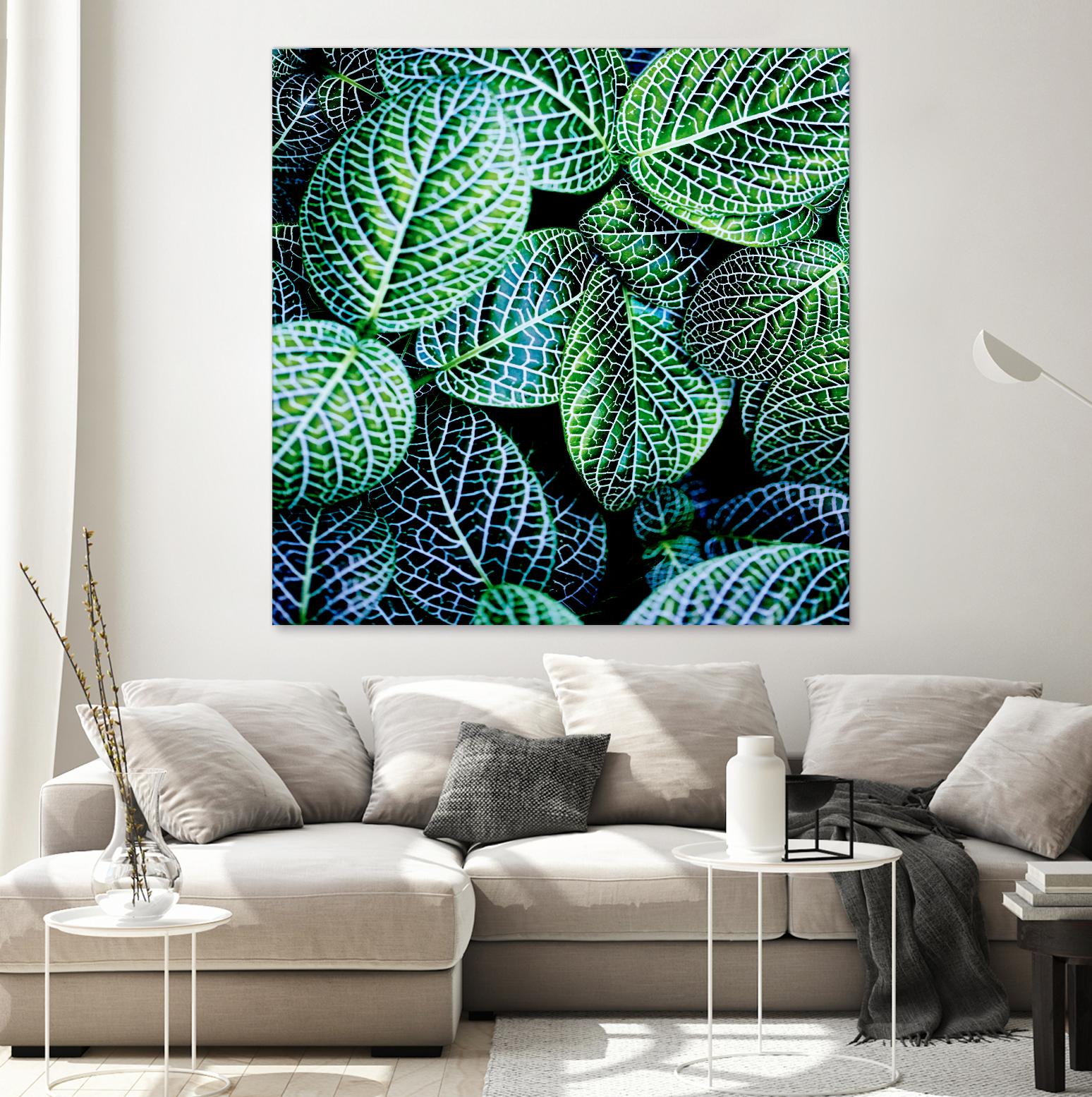 Leaf VIII by Peter Morneau on GIANT ART - white botany