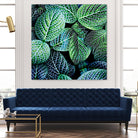 Leaf VIII by Peter Morneau on GIANT ART - white botany