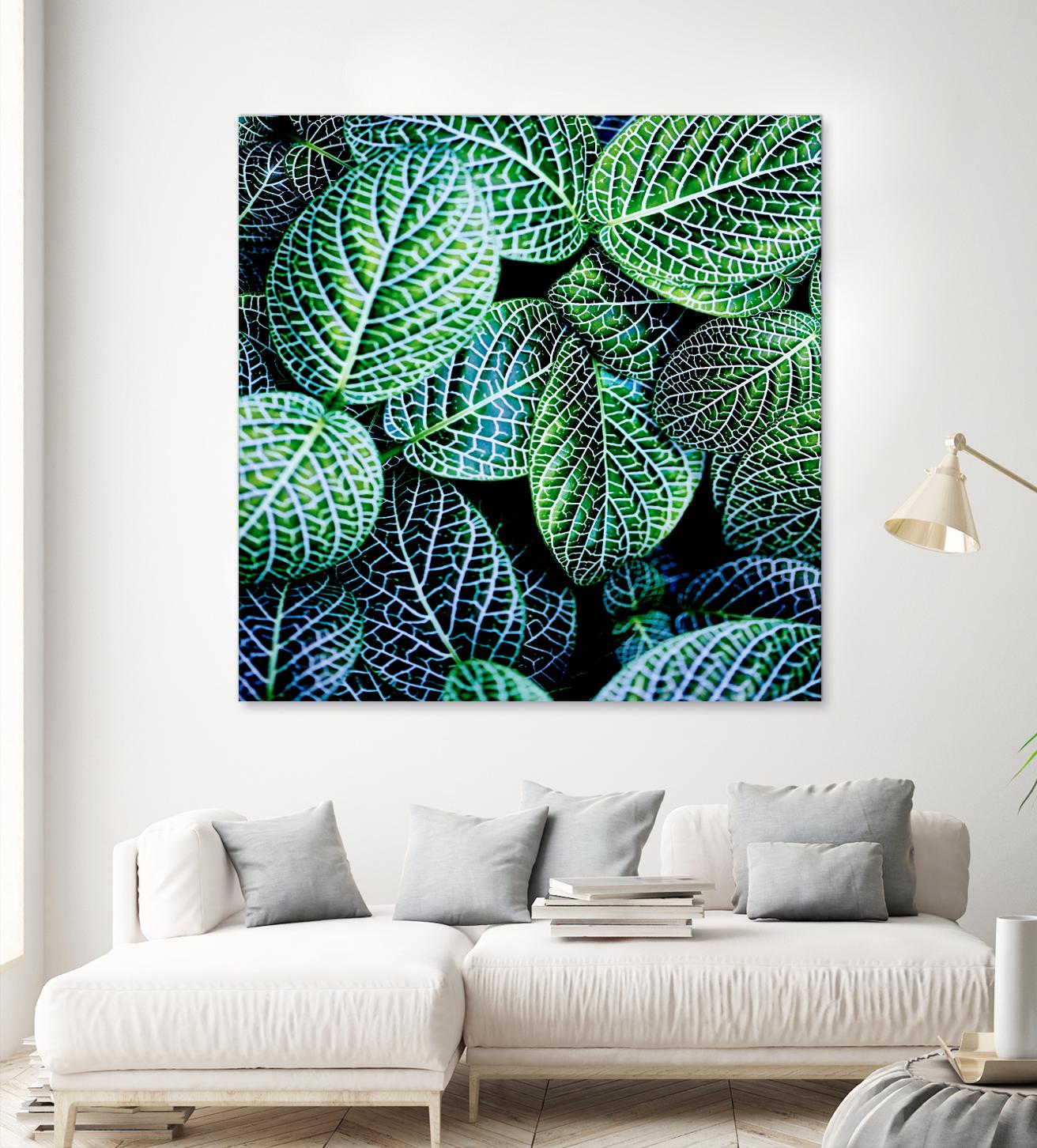 Leaf VIII by Peter Morneau on GIANT ART - white botany