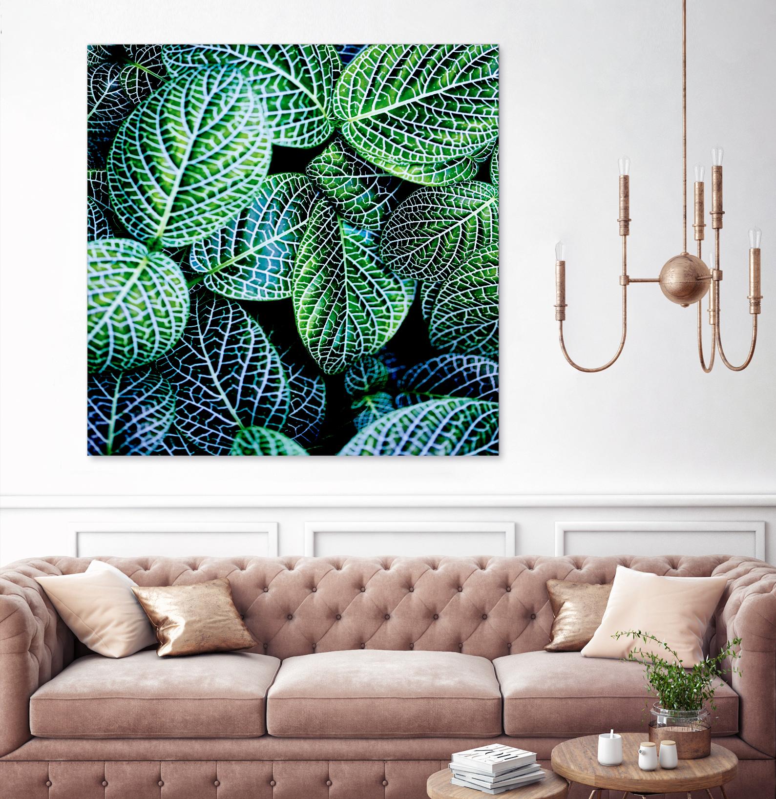 Leaf VIII by Peter Morneau on GIANT ART - white botany