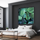 Leaf VIII by Peter Morneau on GIANT ART - white botany