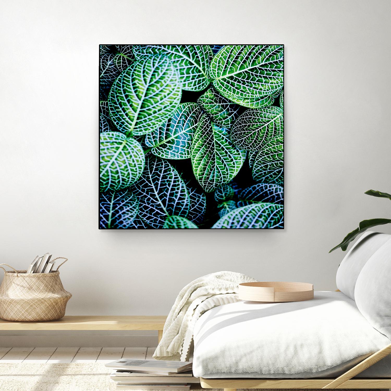 Leaf VIII by Peter Morneau on GIANT ART - white botany