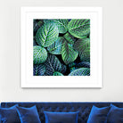 Leaf VIII by Peter Morneau on GIANT ART - white botany