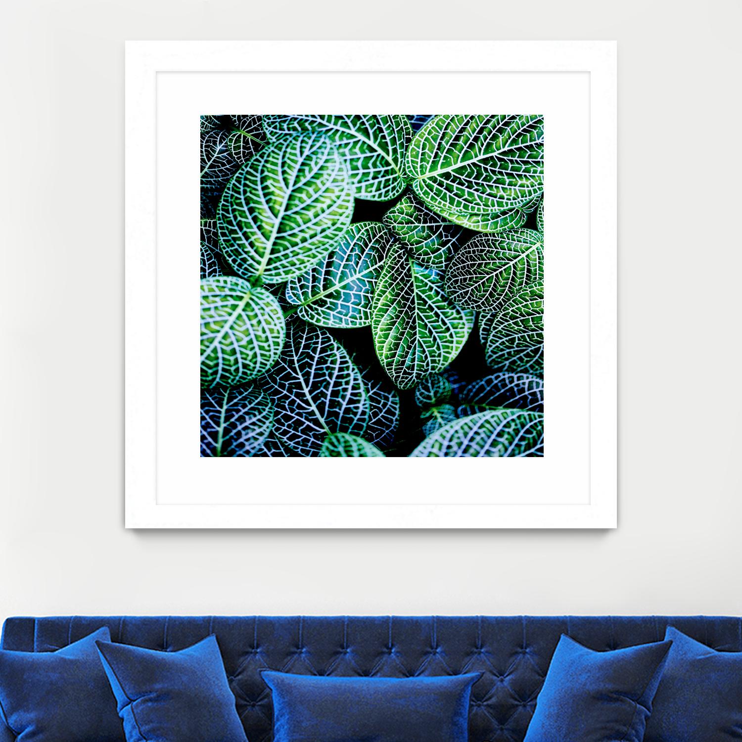 Leaf VIII by Peter Morneau on GIANT ART - white botany