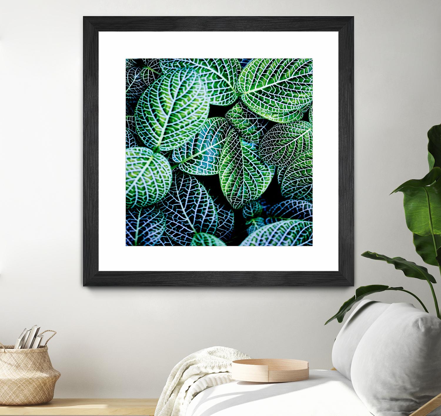 Leaf VIII by Peter Morneau on GIANT ART - white botany