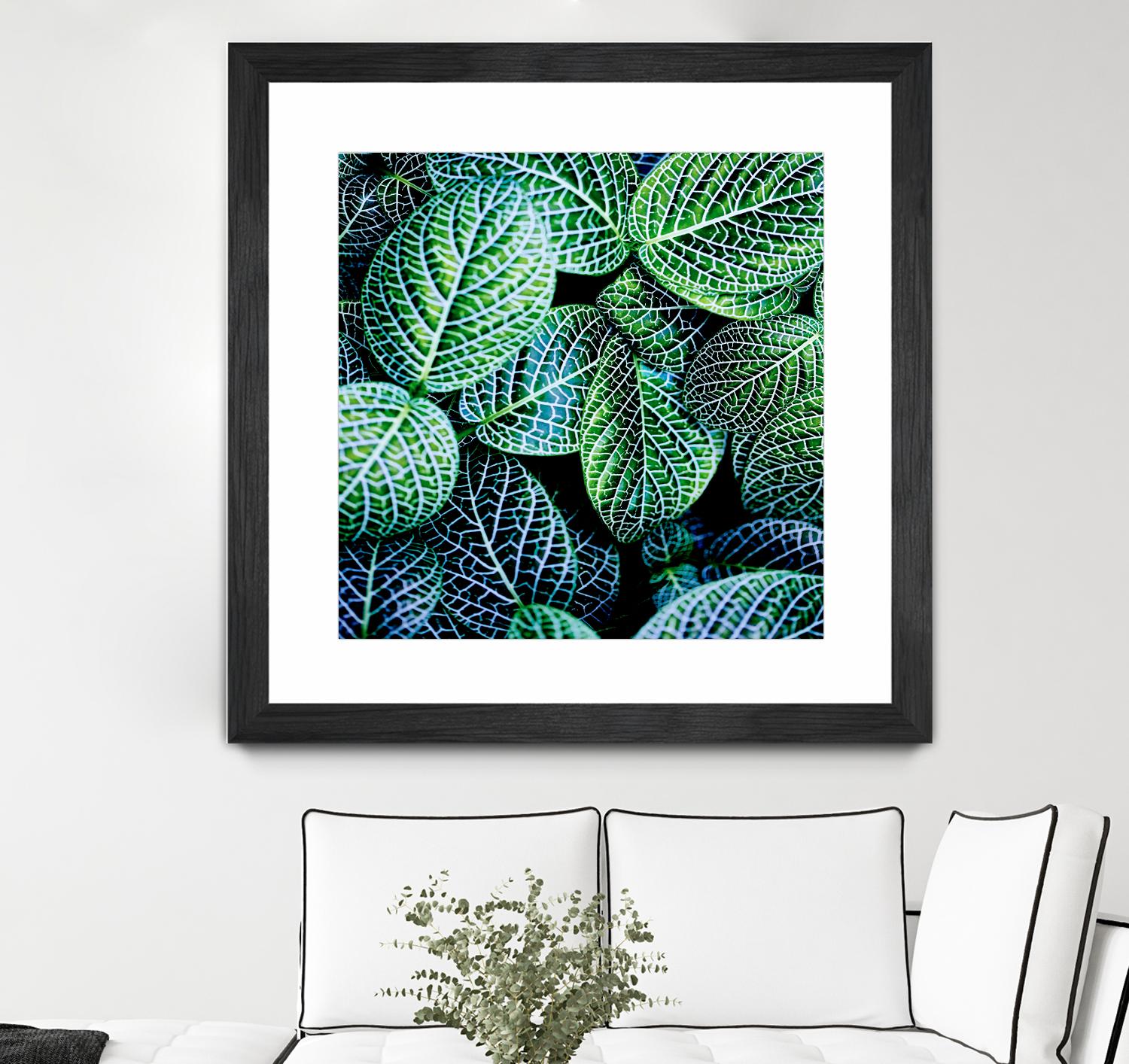 Leaf VIII by Peter Morneau on GIANT ART - white botany