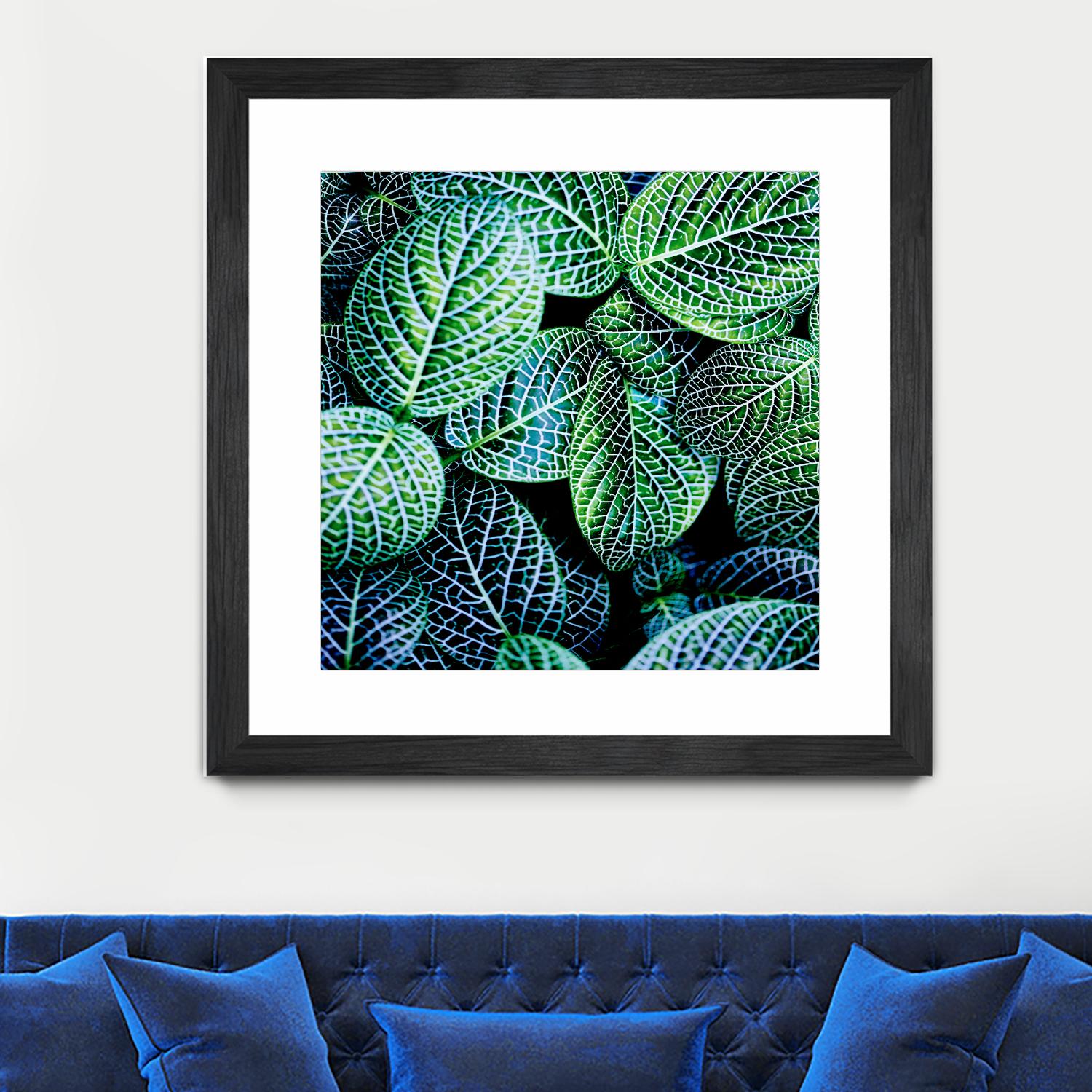 Leaf VIII by Peter Morneau on GIANT ART - white botany