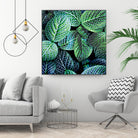 Leaf VIII by Peter Morneau on GIANT ART - white botany