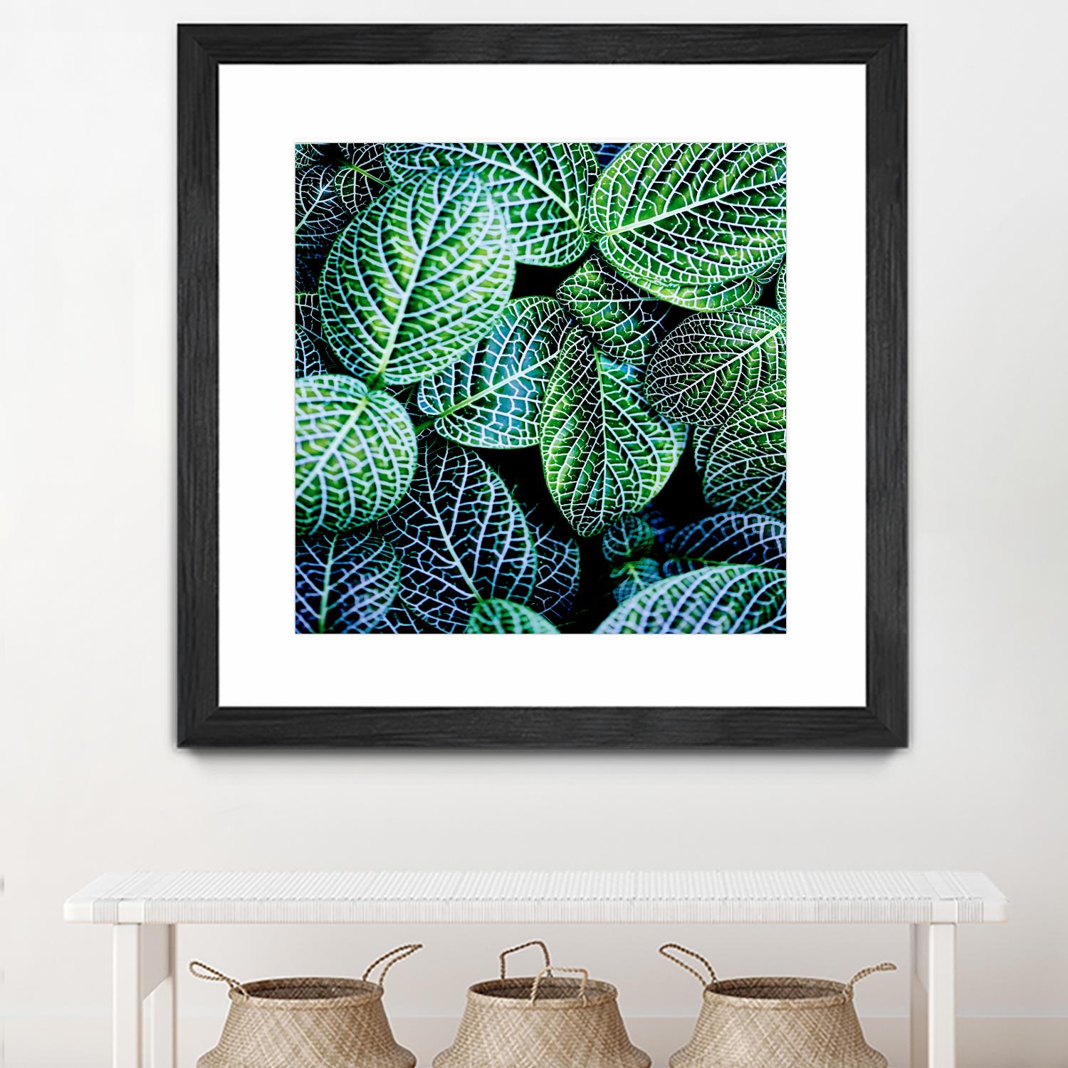 Leaf VIII by Peter Morneau on GIANT ART - white botany