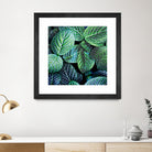 Leaf VIII by Peter Morneau on GIANT ART - white botany