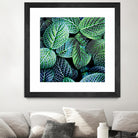 Leaf VIII by Peter Morneau on GIANT ART - white botany