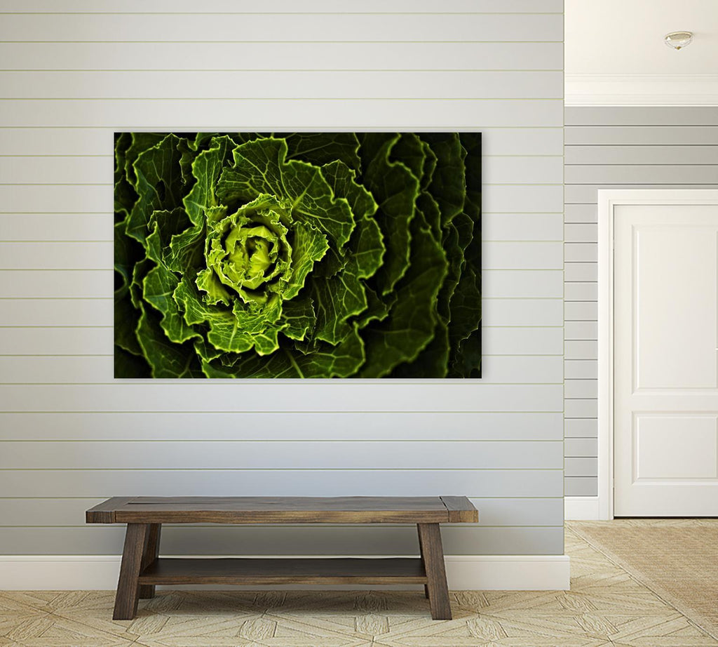 Cabbage I by Peter Morneau on GIANT ART - green photo art