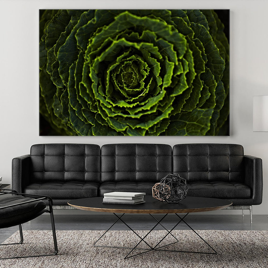 Cabbage II par Peter Morneau sur GIANT ART - art photo vert