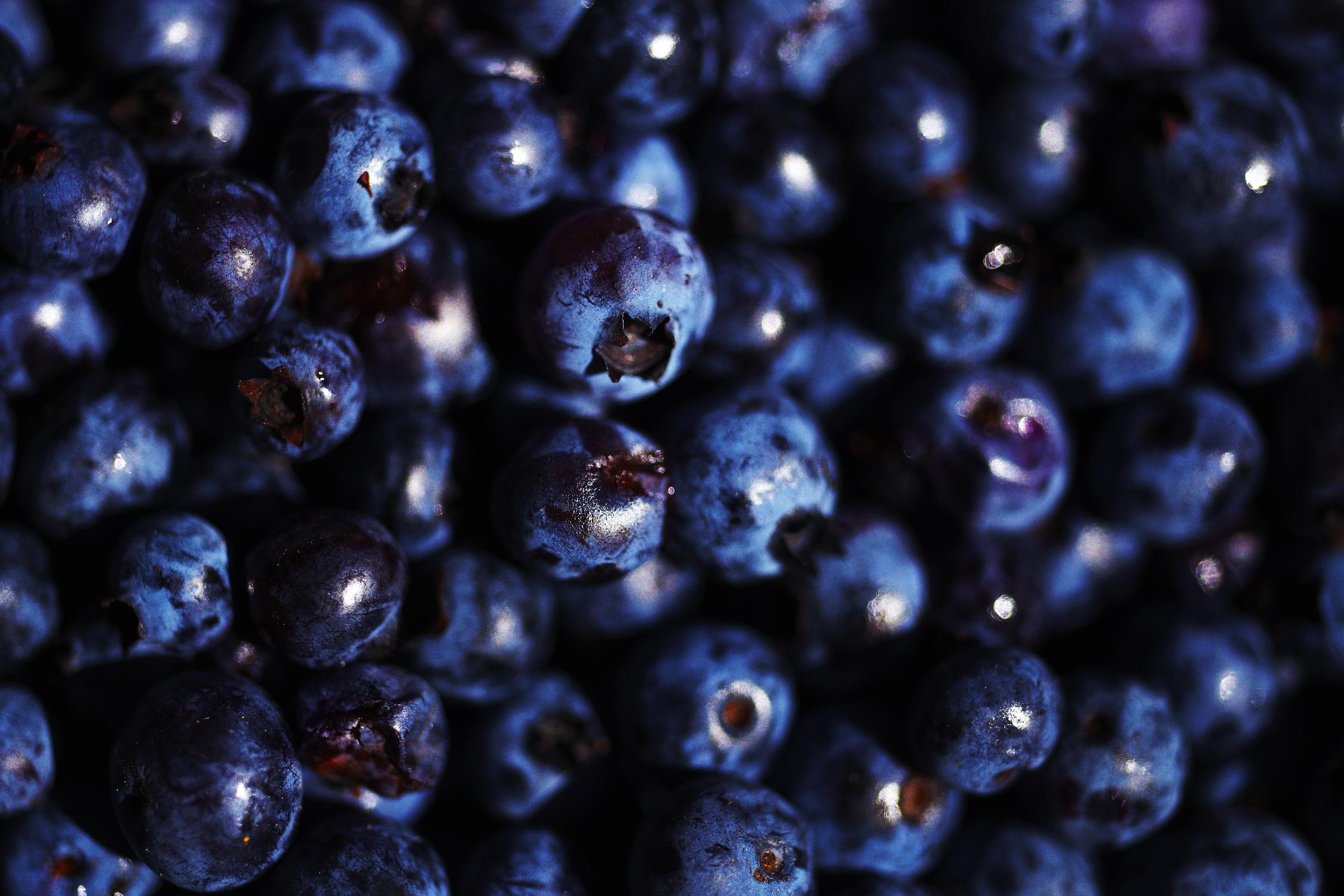 Blueberries I par Peter Morneau sur GIANT ART - art photo bleu