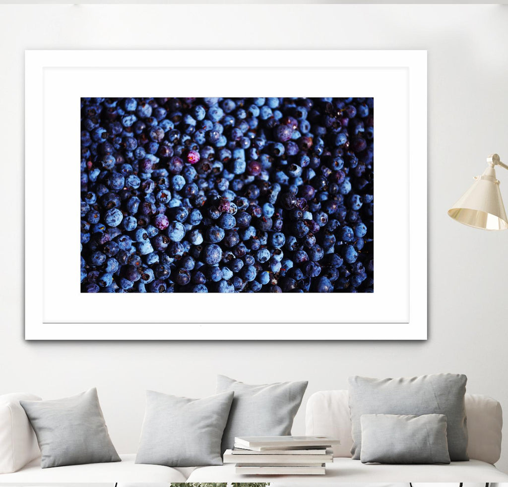Blueberries II by Peter Morneau on GIANT ART - blue photo art