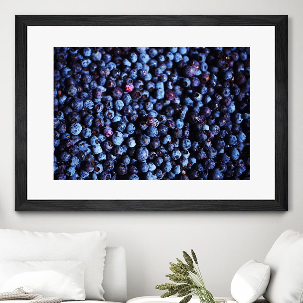 Blueberries II par Peter Morneau sur GIANT ART - art photo bleu