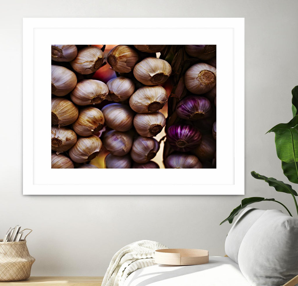Garlic by Peter Morneau on GIANT ART - purple photo art