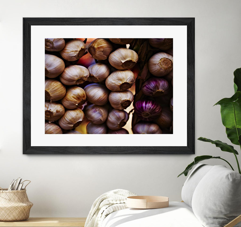 Garlic par Peter Morneau sur GIANT ART - photo d'art mauve
