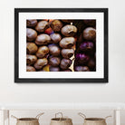 Garlic by Peter Morneau on GIANT ART - purple photo art