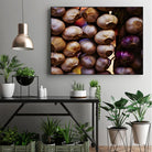 Garlic by Peter Morneau on GIANT ART - purple photo art