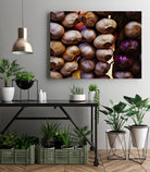 Garlic by Peter Morneau on GIANT ART - purple photo art